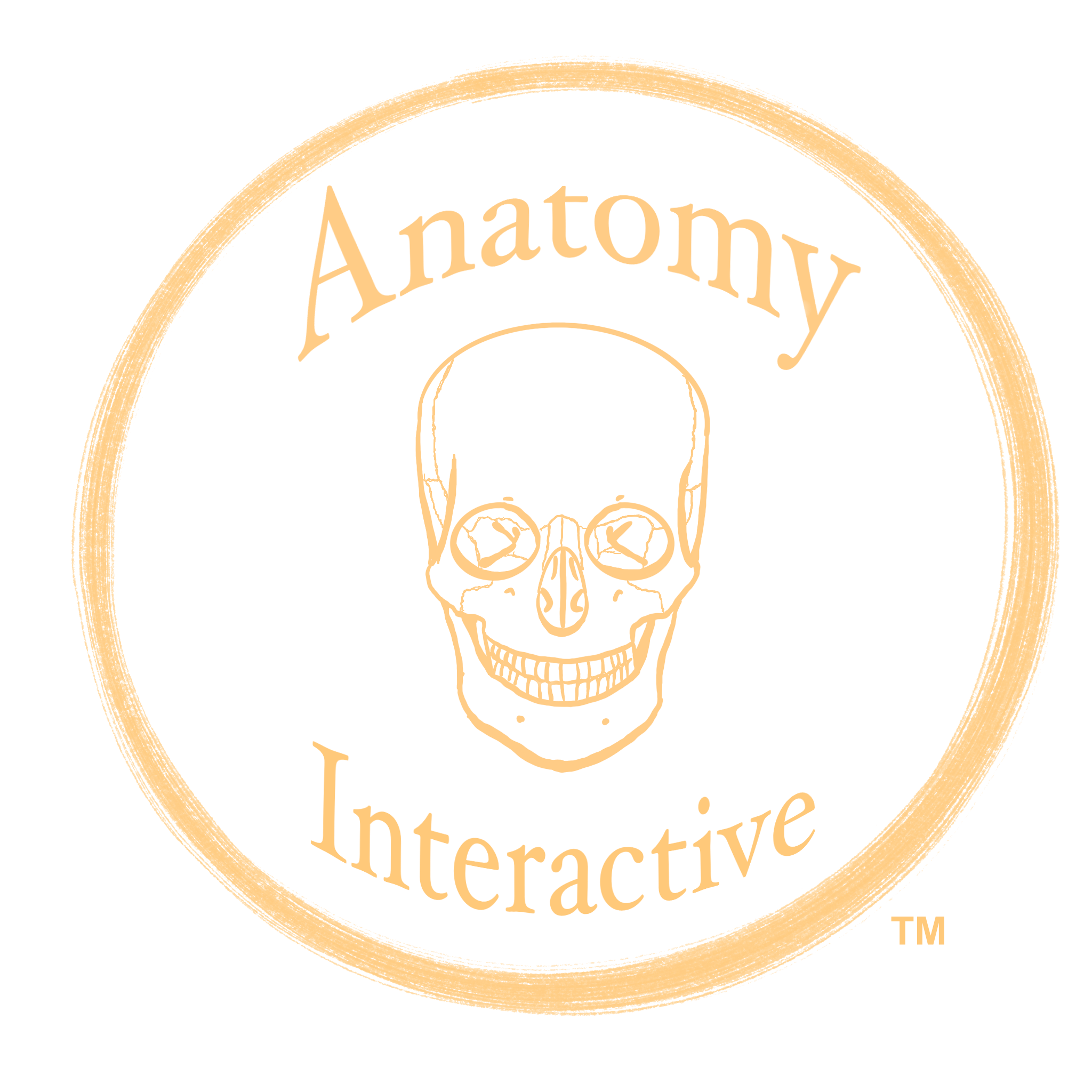 anatomyinteractive.org
